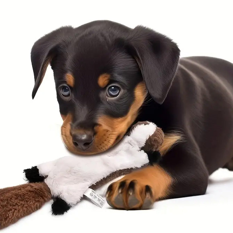 Mjuka Pipande Tuggeleksaker för Din Hund - För Timmars Lekglädje!
