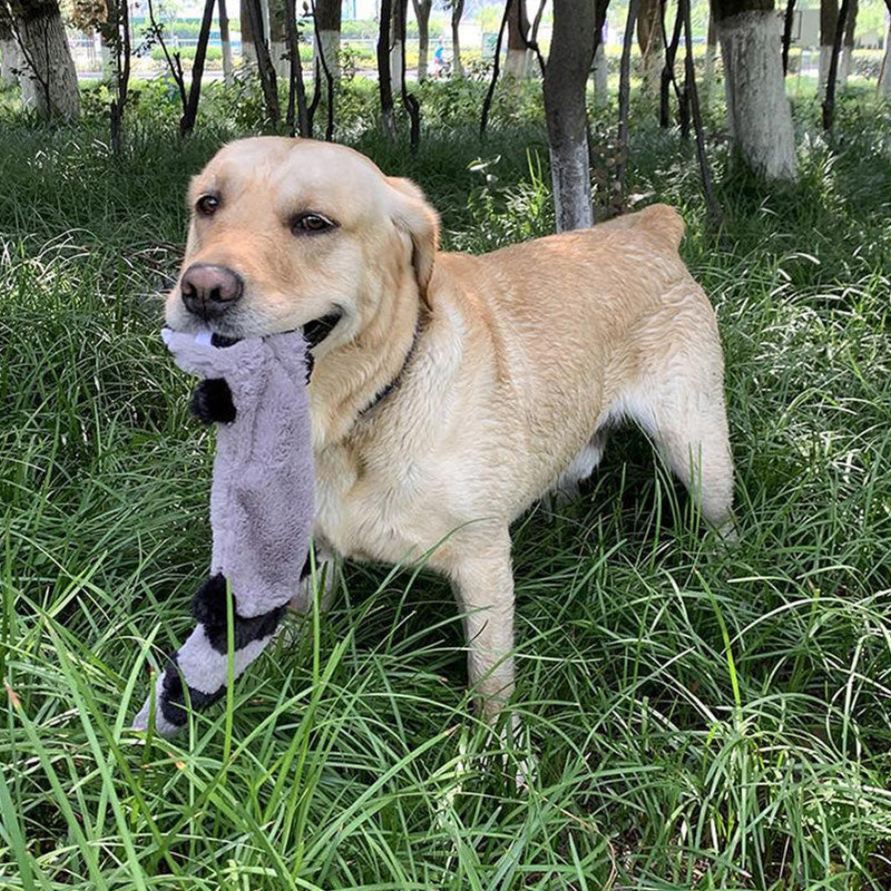 Mjuka Pipande Tuggeleksaker för Din Hund - För Timmars Lekglädje!