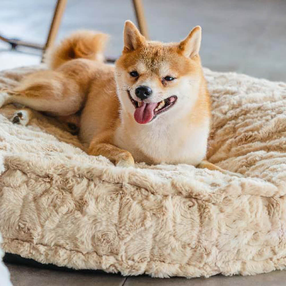 Det Ultimata Komfortet för din Hund eller Katt - Lugnande Hundsäng - Hållbar