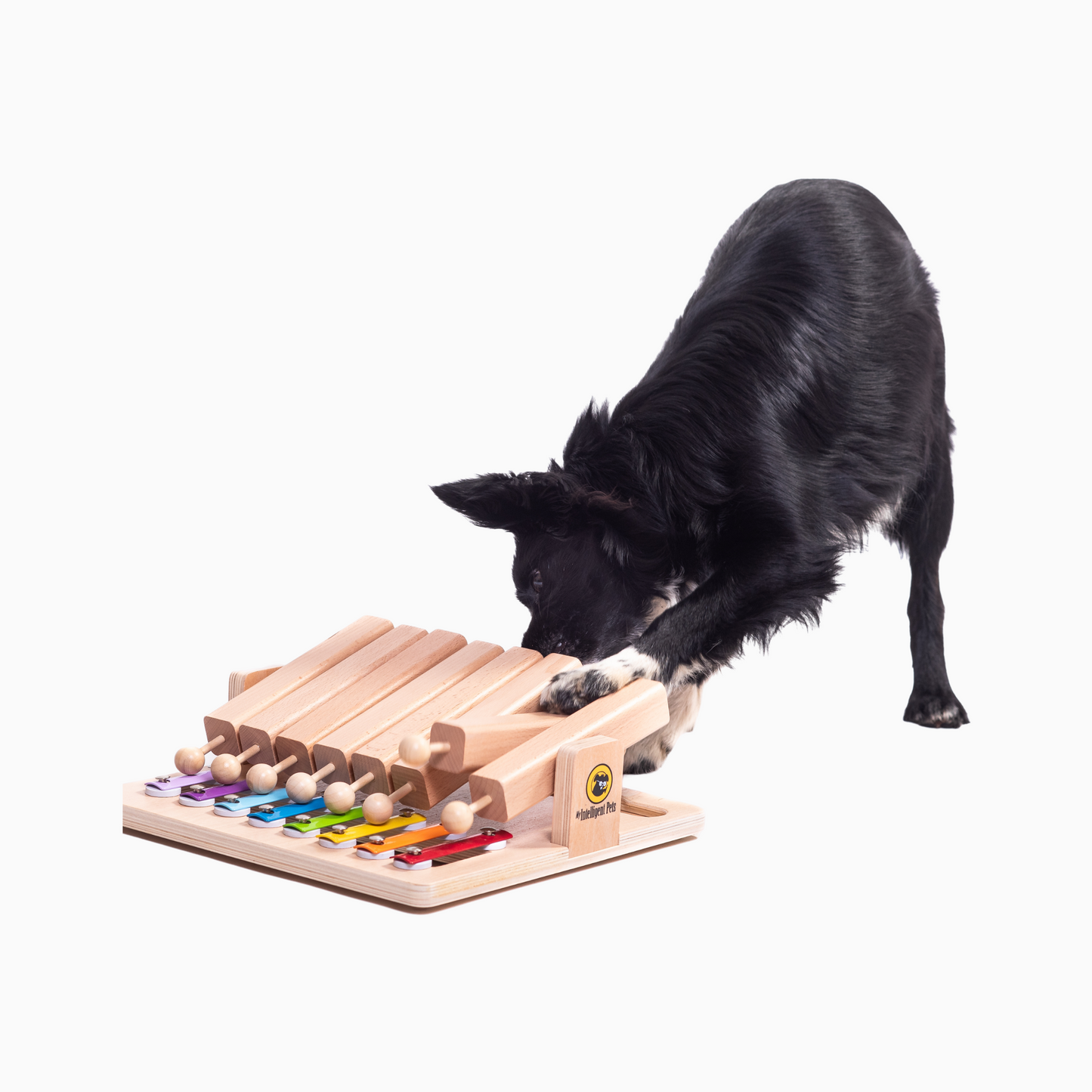 Intelligent Lektoy Trä Piano - Interaktivt leksaksprodukt av året!
