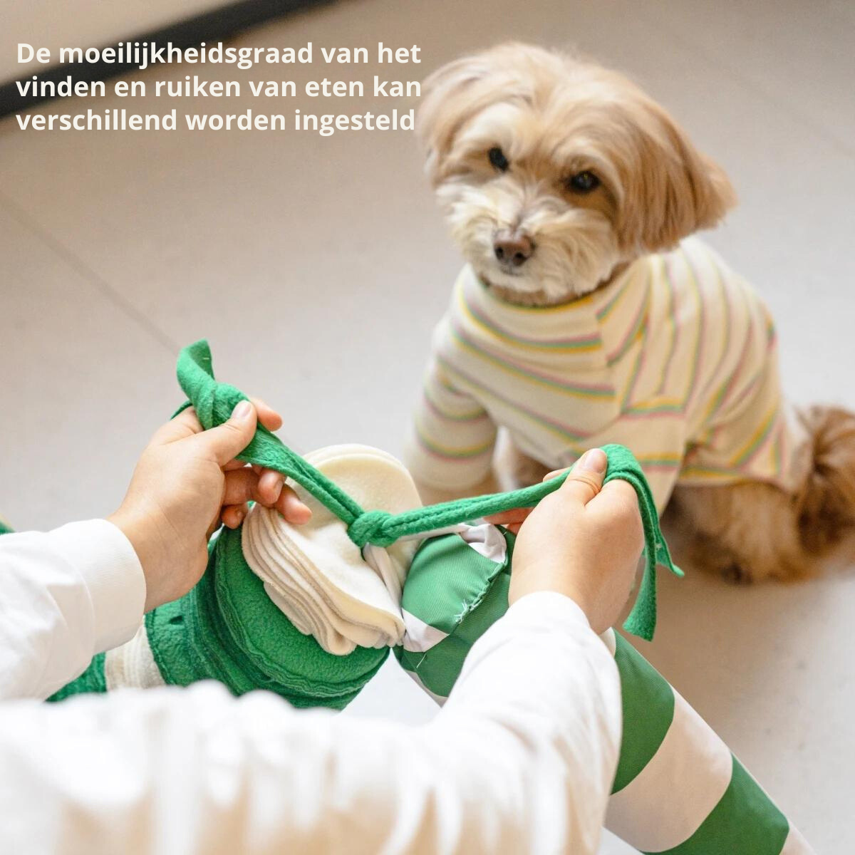 Luxe Interaktivt Leksaksslang