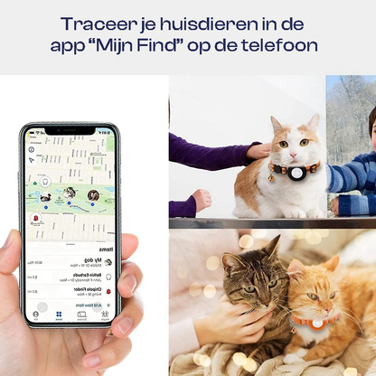 Slimma Katthalsband (1+1 gratis)