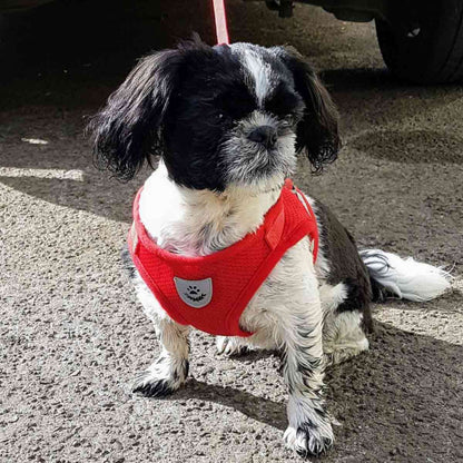 Reflekterande Hundsele: Säker, Bekväm och Stilig för din Valp!